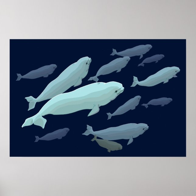 Pintura de Baleia Beluga Impressão Marinelife (Frente)