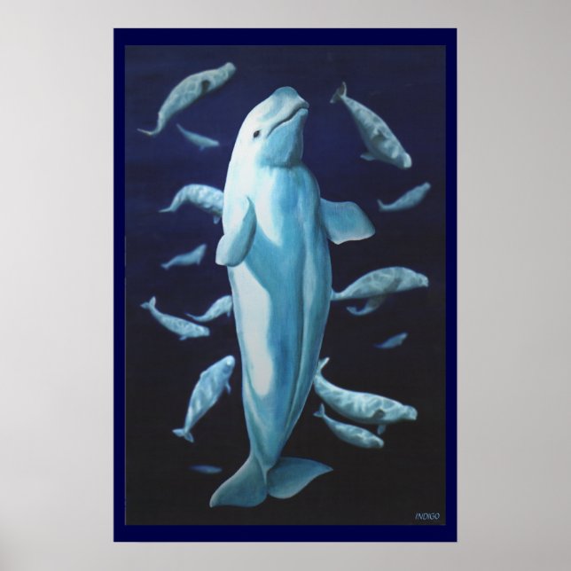 Pintura de Baleia Beluga Impressão Marinelife (Frente)