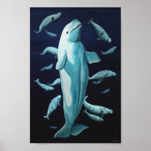 Pintura de Baleia Beluga Impressão Marinelife