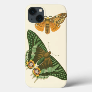 Pintura de Borboleta Ligeiramente Bordada