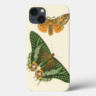 Pintura de Borboleta Ligeiramente Bordada