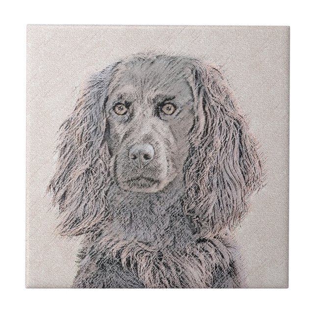 Pintura de Boykin Spaniel - Arte de Cachorro Origi (Frente)