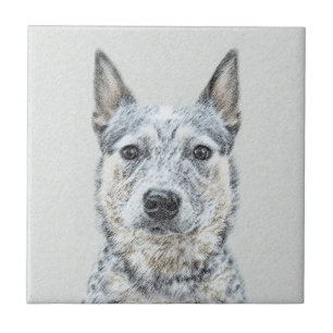 Pintura de Cachorro Australiano - Arte Original Bo