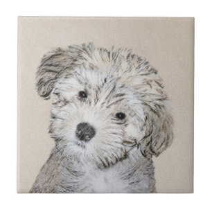 Pintura De Cachorro Havanês - Arte Cachorra Origi