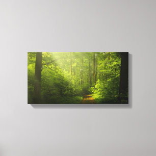 pintura de canvas natural