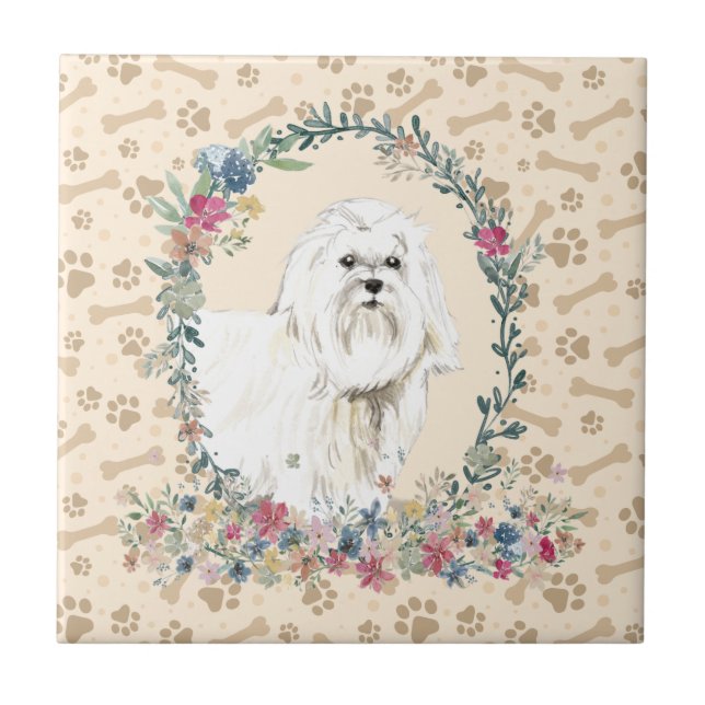 Pintura De Cão Maltês Imprime Cerco Floral (Frente)