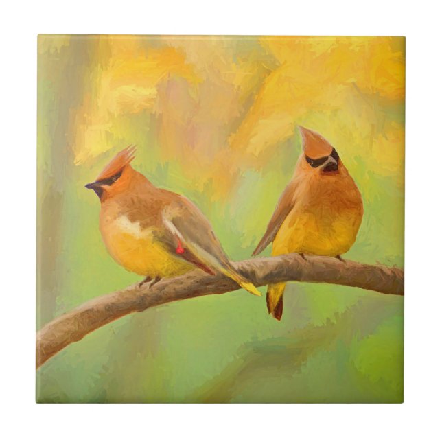 Pintura De Cedar Waxwing - Arte De Cachorro Origin (Frente)
