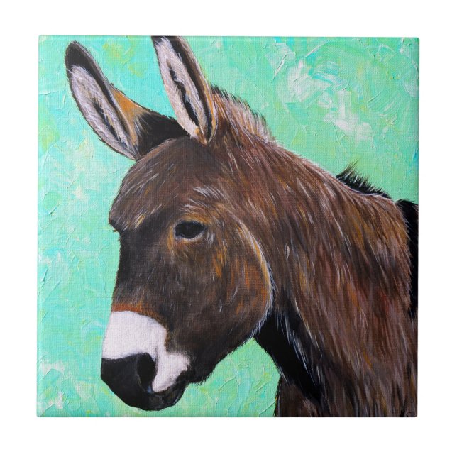 Pintura de Donkey (Frente)