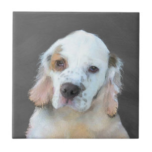 Pintura de Espanhol Clumber - Arte de Cachorro Ori