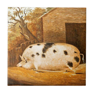 Pintura de Fazenda de porco perfurado