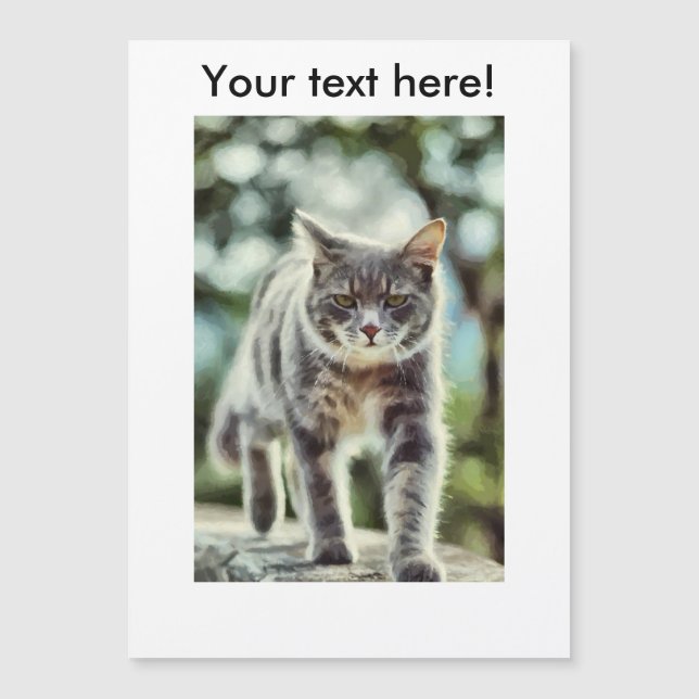 Pintura de gatos (Frente)