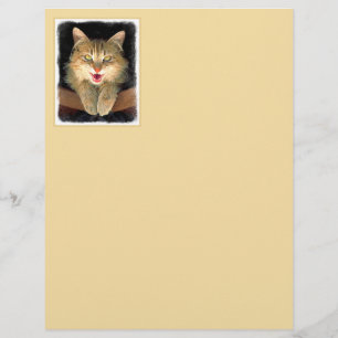 Pintura de Gatos Loucos - Arte de Gato Original Bo