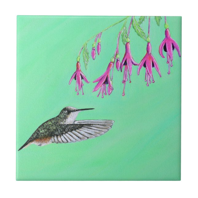 Pintura de Hummingbird e Fuchsia (Frente)