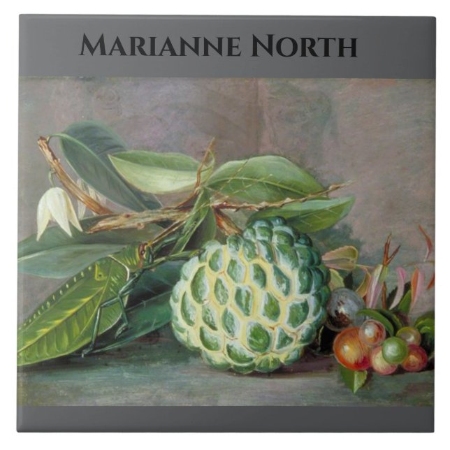 Pintura de Maçã Marianne North Custard (Frente)