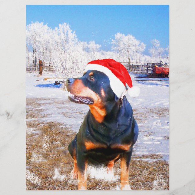 Pintura de Natal do Cão Rottweiler (Frente)