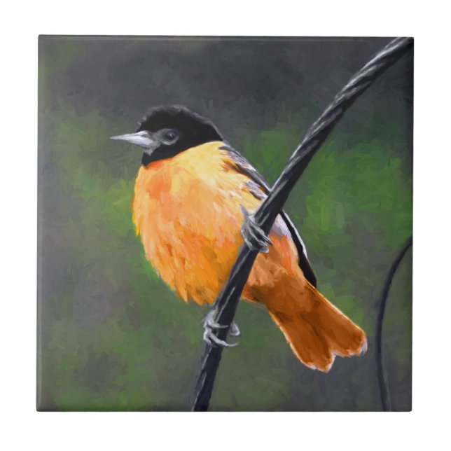 Pintura de Oriole - Arte Original para Pássaros (Frente)