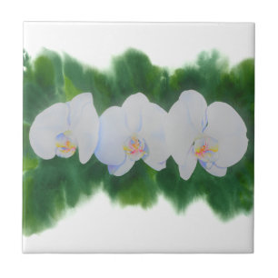 Pintura de orquídea branca Elegante tropical