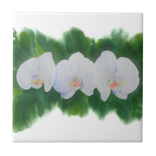 Pintura de orquídea branca Elegante tropical (Frente)