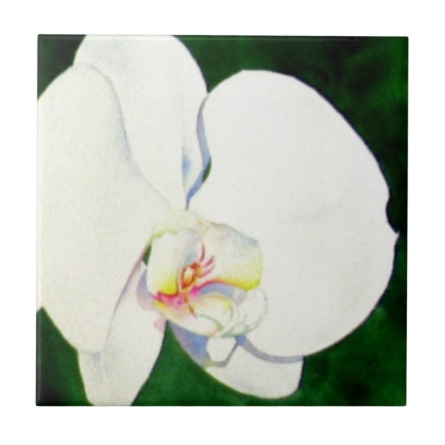 Pintura de orquídea branca Elegante tropical (Frente)