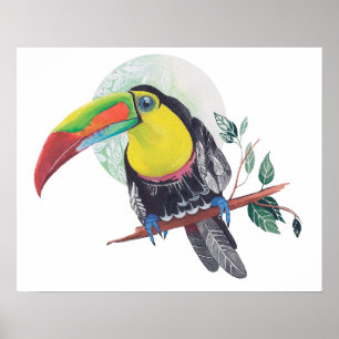 Pintura de papagaio impressão Exótico Lua da Nat