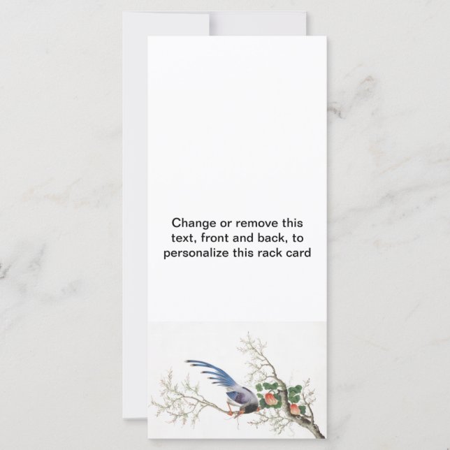 Pintura de pássaros chineses (Frente)