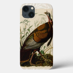 Pintura de pássaros Selvagens de Audubon na Turqui