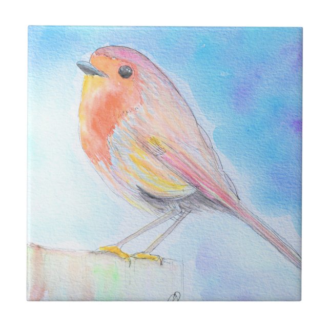 Pintura de Pequena Robin Watercolor (Frente)