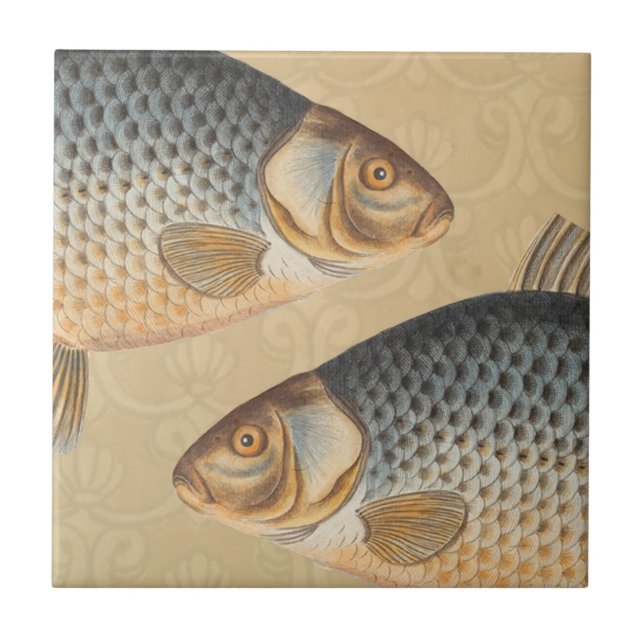 pintura de pesca de peixe carpa desenho de água do (Frente)
