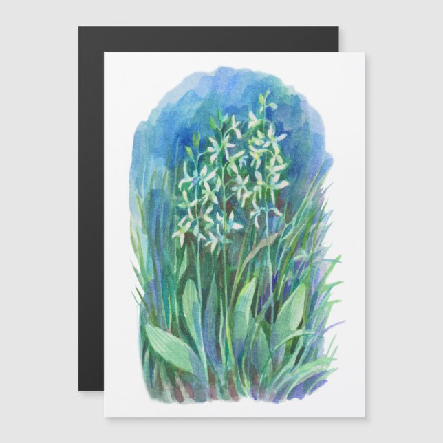 pintura de primavera de orquídea branca (Frente/Verso)