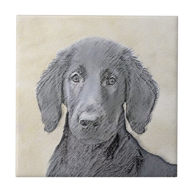 Pintura De Retriever Revestida Plana - Arte De Cão (Frente)