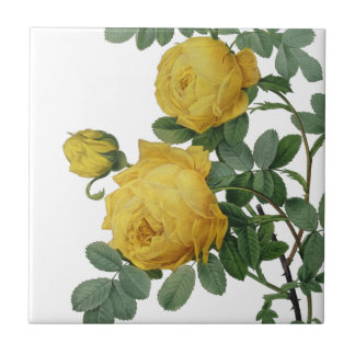 Pintura de rosa amarela vítrea
