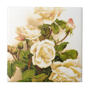 Pintura de Rosa vitoriana-marfim