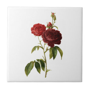 Pintura de rosas vermelhos profundos