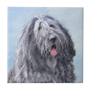 Pintura de Sheepdog Bergamasco - Cachorro Original