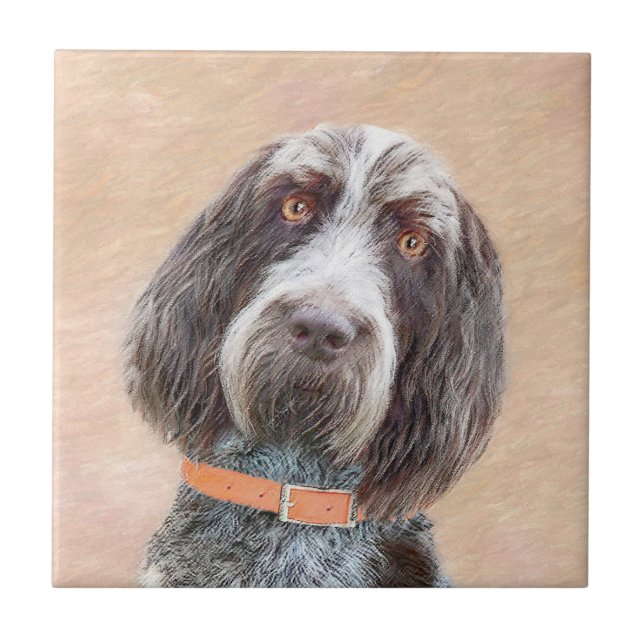 Pintura de Spinone Italiano - Arte de Cachorro Ori (Frente)