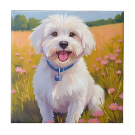 Pintura do Campo de Flores do Cão Maltês