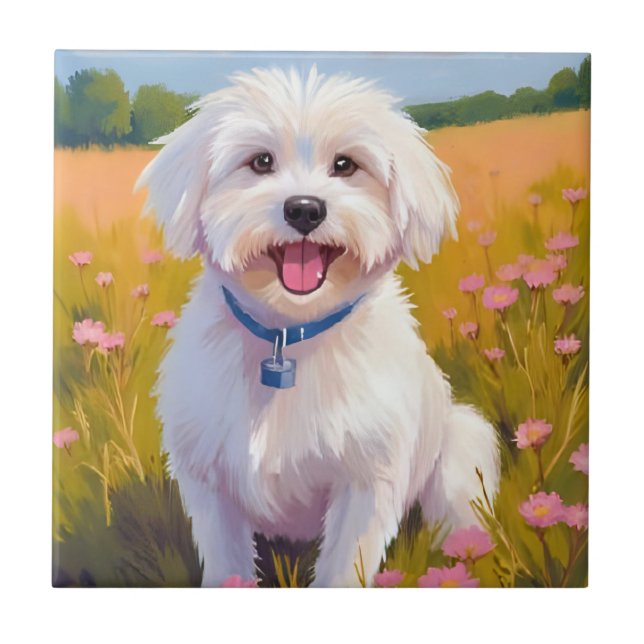 Pintura do Campo de Flores do Cão Maltês (Frente)