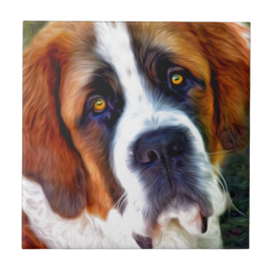 Pintura do cão de St Bernard