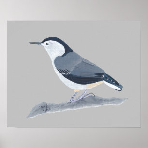 Pintura do Pássaro Nuthatch em Posters de Parede