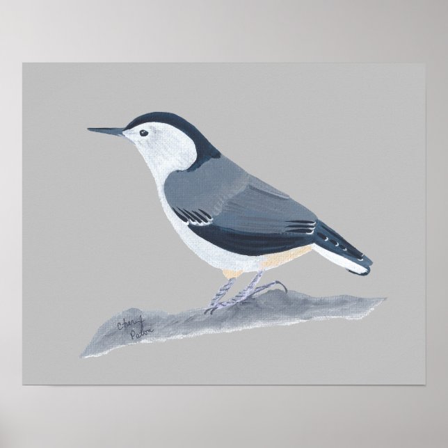 Pintura do Pássaro Nuthatch em Posters de Parede (Frente)