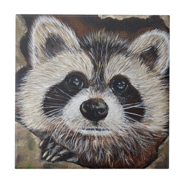 Pintura do Raccoon (Frente)