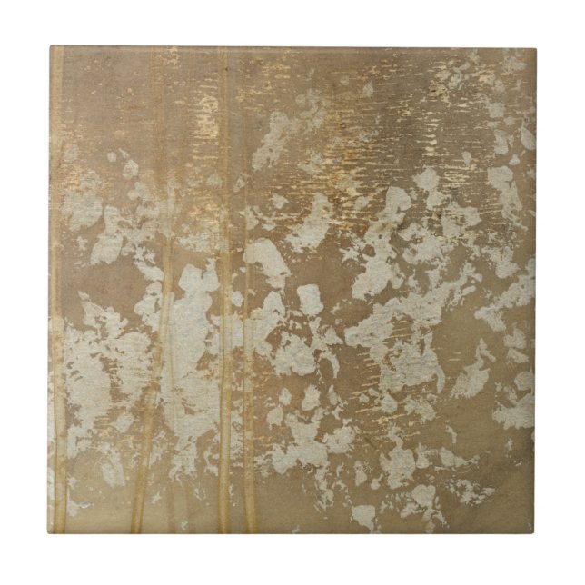 Pintura Dourada abstrato com Espectro de Prata (Frente)