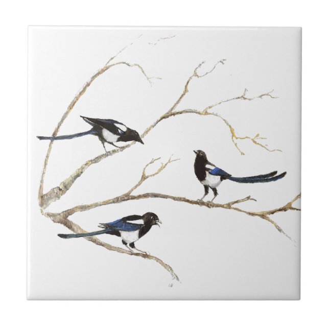 Pintura em aquarela da família de pássaros Mágpias (Frente)