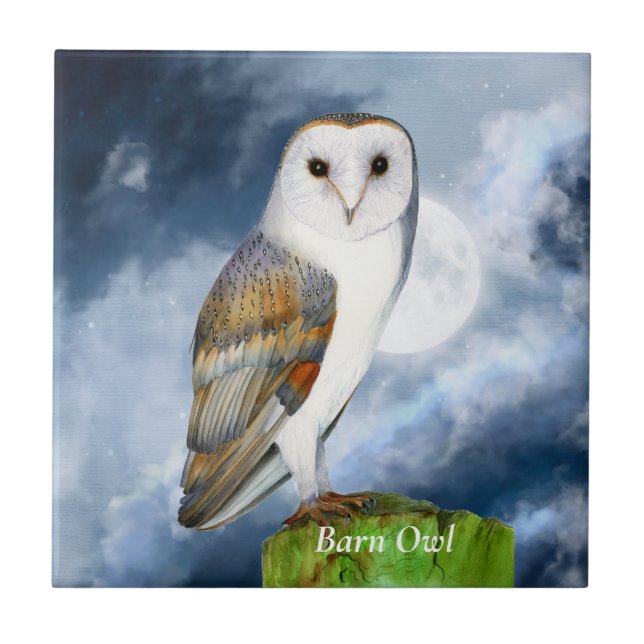 Pintura em Aquarela de Barn Owl (Frente)