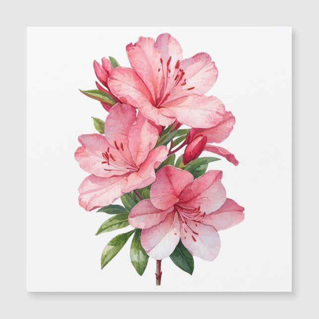 pintura em aquarela de flor de azálea (Frente)