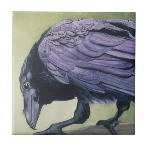 Pintura em Aquarela Original de Crow Raven
