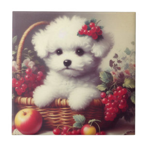Pintura em Cute Vintage Bichon Frisé