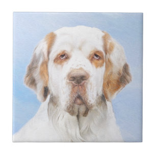 Pintura em Espanhol Clumber - Arte Cão Original B