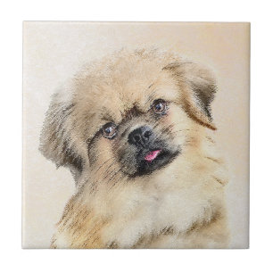 Pintura em espanhol tibetano - Arte canina origina
