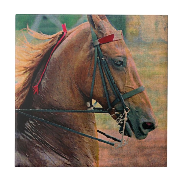 Pintura em Faux Saddlepura (Frente)